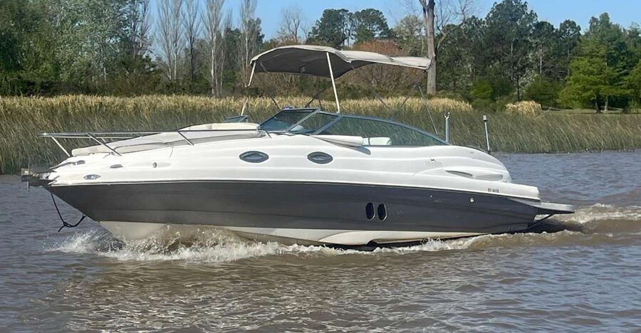 Best of Delta Buenos Aires Private Boat Tour: Enjoy More - Clothing, weather, and how to plan for a smoother day
