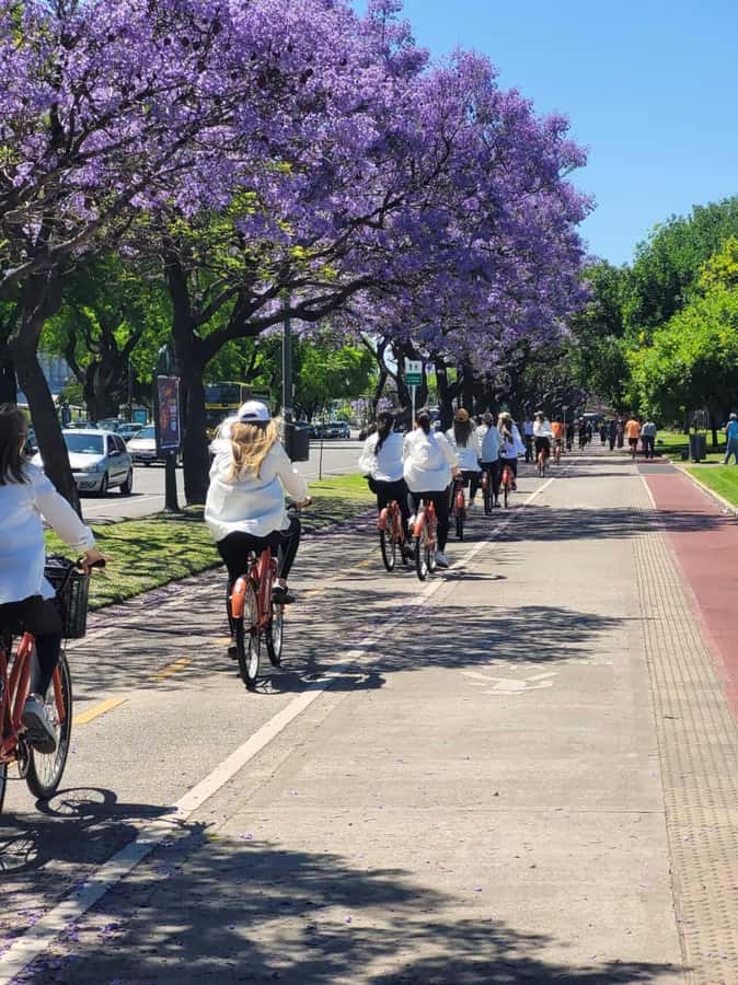 Bike Tour: Buenos Aires to the North - Recoleta’s refined streets and what the Eva Perón visit really means