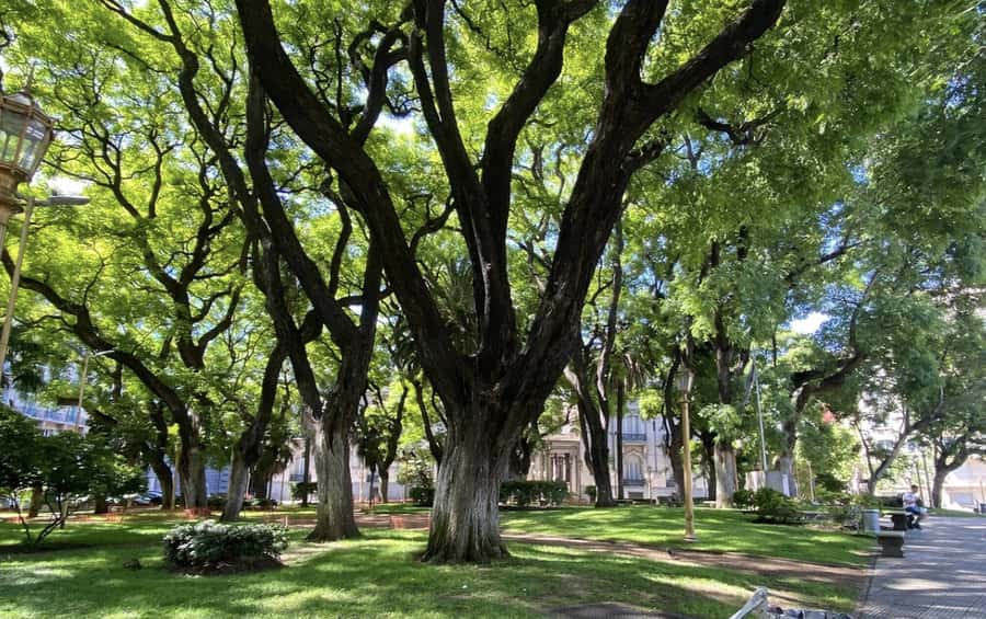 Buenos Aires: 7 Hour Small Group "BA 101" Walk - Florida Street, Casa Rosada, and Plaza de Mayo’s real center stage