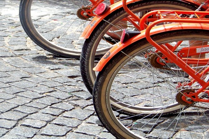 Buenos Aires Bike Tour: San Telmo and La Boca Districts - Puerto Madero and the Ecological Reserve: city polish to bird-watching calm