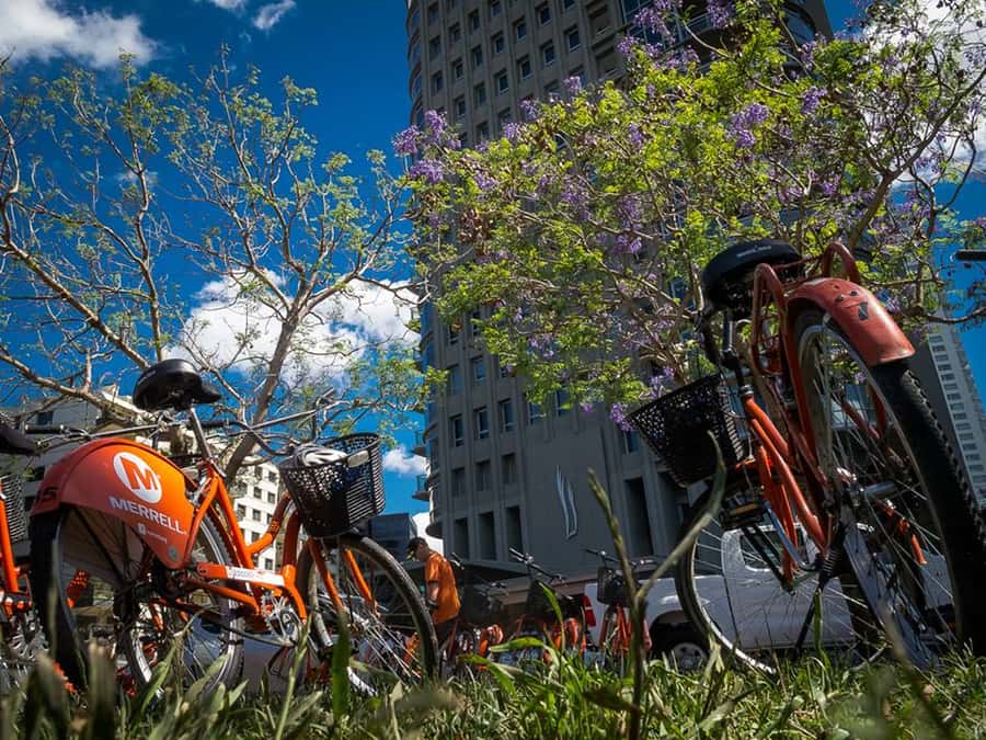 Buenos Aires Bike Tour: South or North Circuit - Before You Ride: What This 3-Hour Tour Feels Like