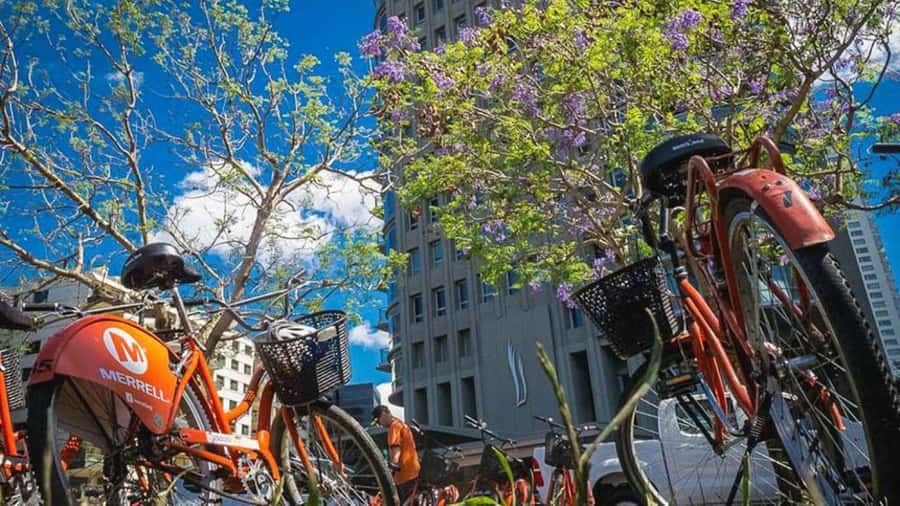 Buenos Aires Bike Tour: South or North Circuit - Choosing South vs. North: Which One Fits Your Buenos Aires Mood?