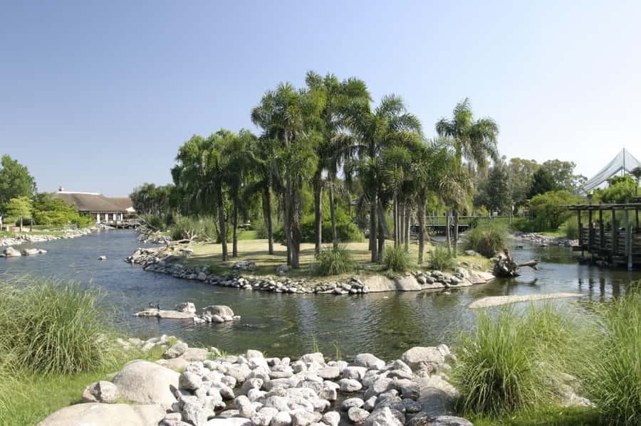 Buenos Aires: Bioparque Temaiken with Transfers - Africa zone: flamingos to meerkats (and more)