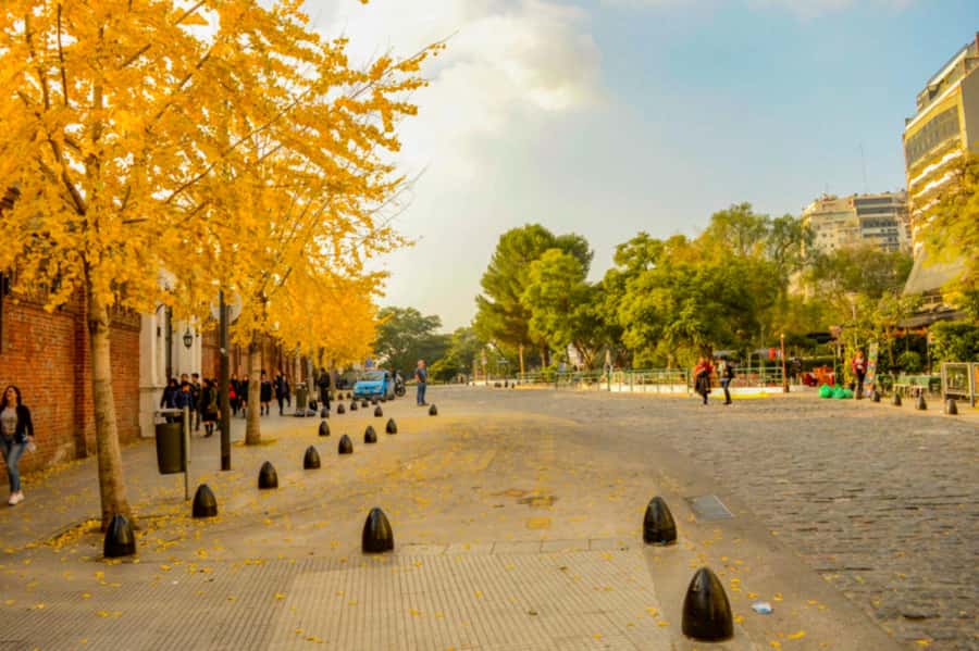 Buenos Aires: City Tour Porteno with Wine Tasting - How the 5-hour Porteno route actually feels