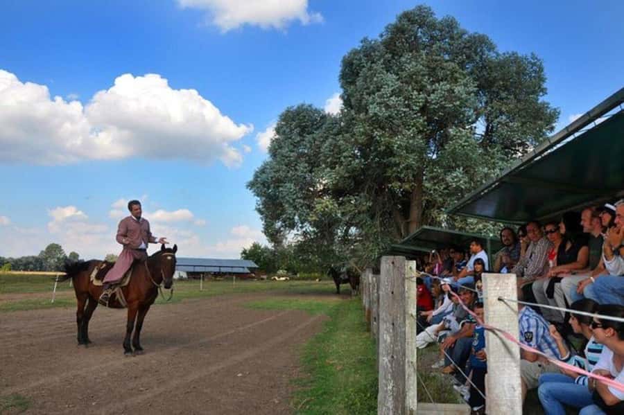 Buenos Aires: Don Silvano Ranch Gaucho Day Trip - Quick Key Points You’ll Care About