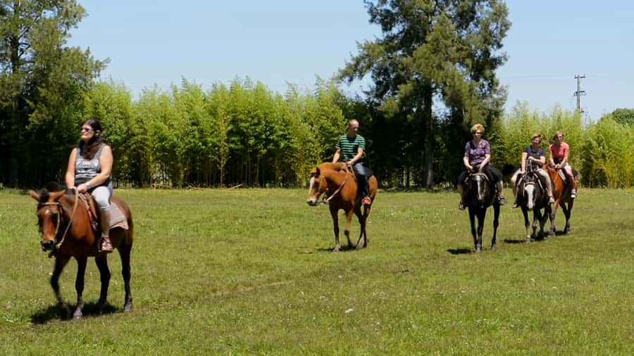 Buenos Aires: Don Silvano Ranch Gaucho Day Trip - Horseback Riding and Gaucho Work: How the Day Actually Feels