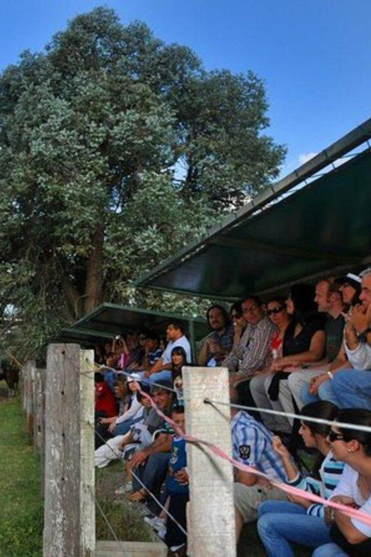 Buenos Aires: Don Silvano Ranch Gaucho Day Trip - Planning Notes: Pickup, What to Pack, and Luggage Rules
