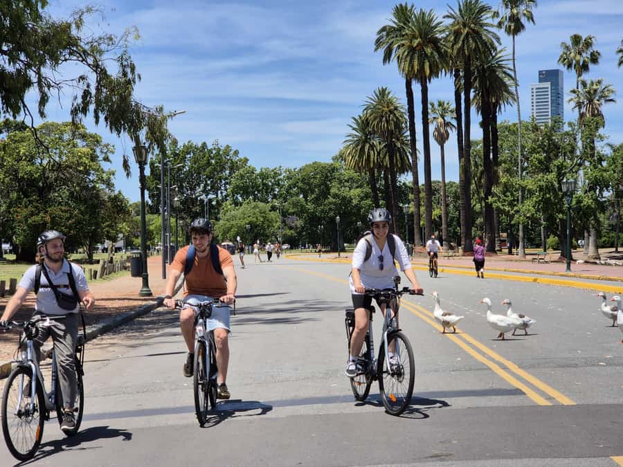 Buenos Aires: E-Bike Tour in the North Circuit of Buenos Aires - Key Highlights Worth Your Time