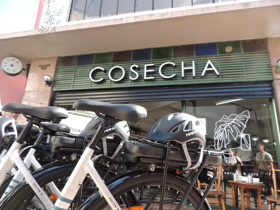 Buenos Aires: E-Bike Tour in the South Circuit of Buenos Aires - Benito Quinquela Martin Museum area and Usina del Arte: artsy momentum