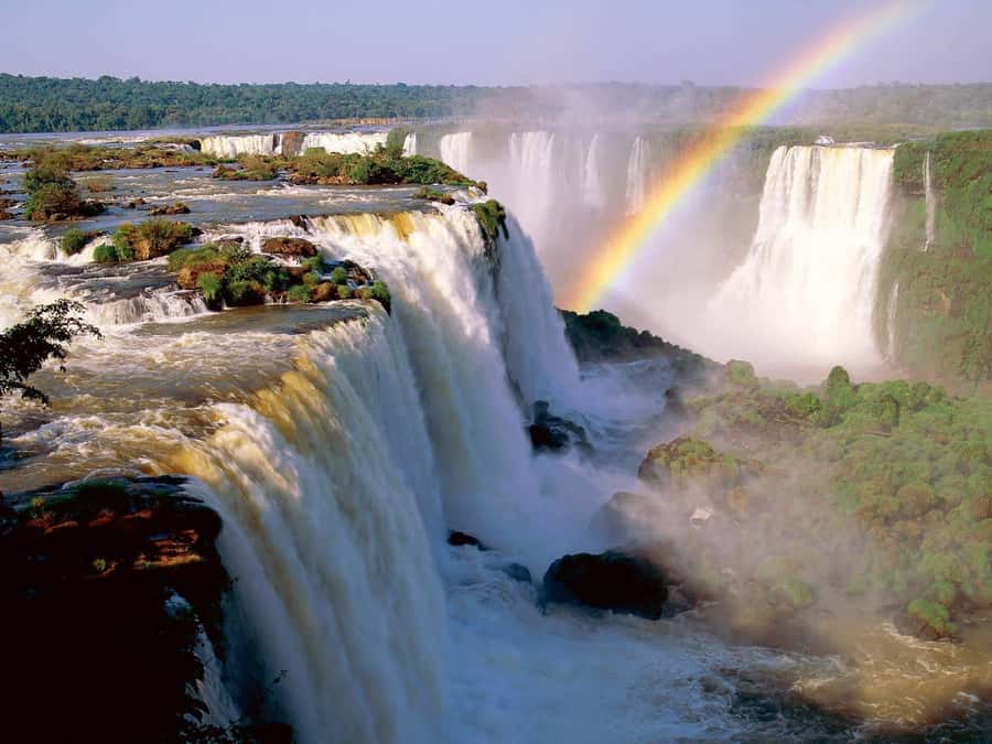 Buenos Aires: Iguazu Falls Private Day Trip with Airfare - Skipping the lines on the Argentine side (and why the park train matters)