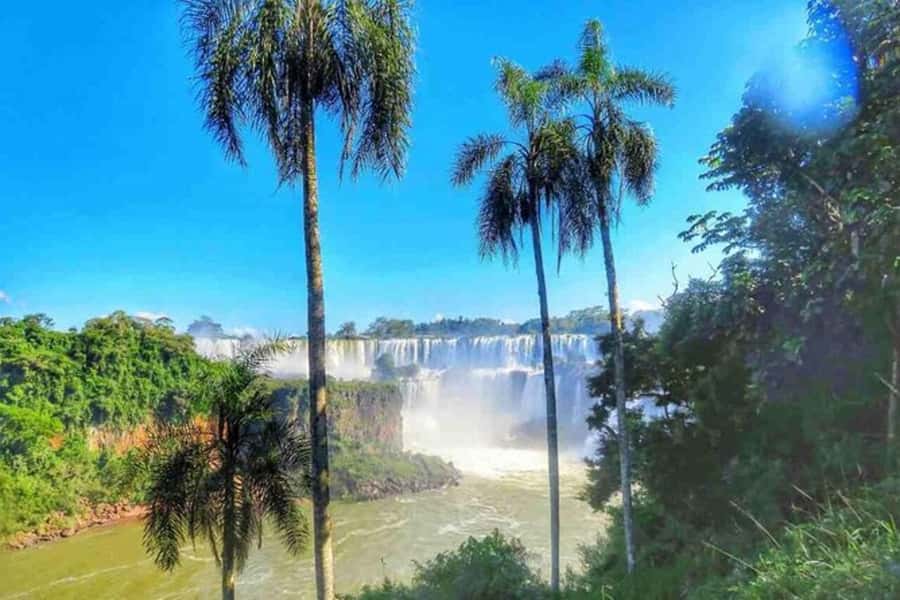 Buenos Aires: Iguazu Falls Private Tour with Flights - Buenos Aires to Iguazu: flights, transfers, and the schedule reality