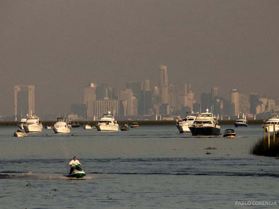Buenos Aires: Premium Delta Navigation round trip - Return at 4:00 p.m.: Catch the Light on the Way Back