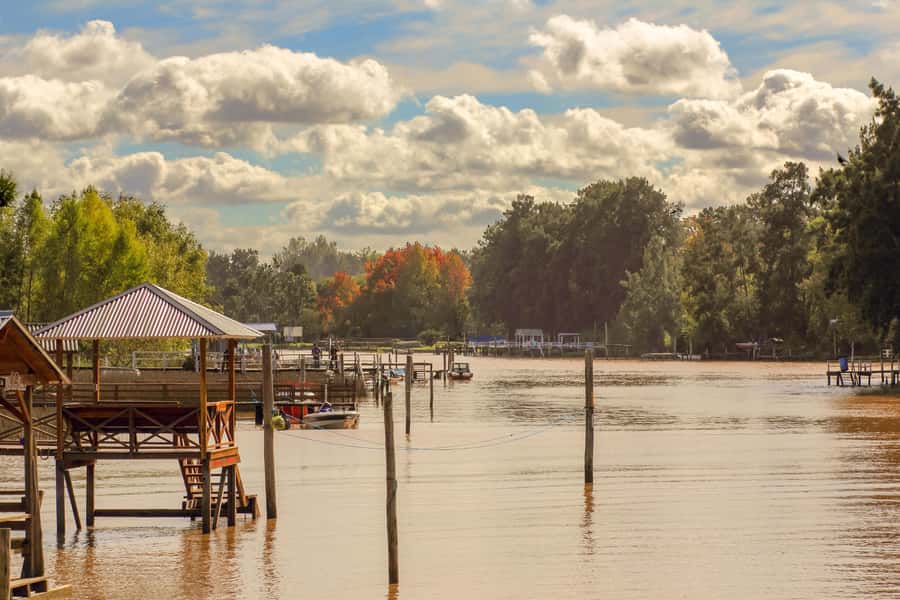 Buenos Aires: Puerto Madero to Tigre Round Trip Cruise - What the Boat Experience Really Feels Like