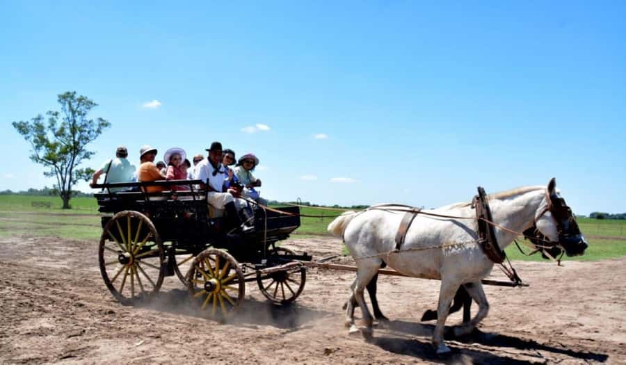 Buenos Aires: Santa Susana Ranch Day Tour, BBQ & Shows - The morning pickup and how the day stays on schedule