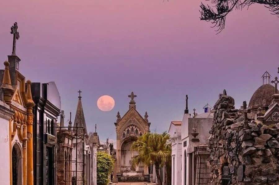 Buenos Aires: Small Group City Highlights Tour - San Telmo to La Boca: Tango houses, Mafalda, and the big color shift