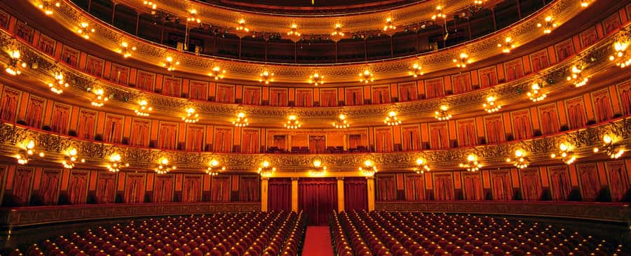 Buenos Aires: Teatro Colon Guided Tour - Timing and group size: how to get the best view in a busy theatre
