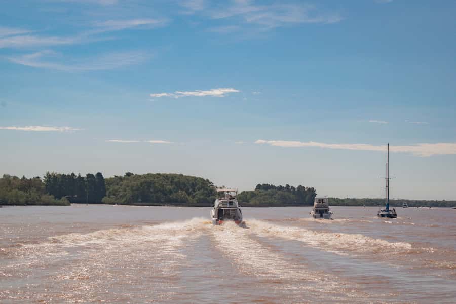 Buenos Aires: "Ticket"- 2hs of Navigation Premium to Tigre - Río de la Plata time: skyline views that feel completely different