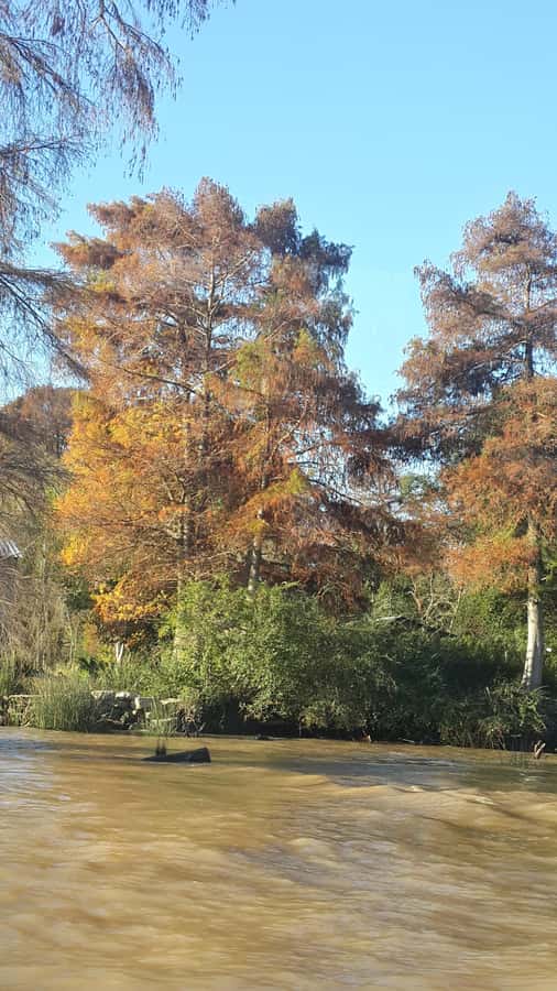 Buenos Aires: "Ticket"- 2hs of Navigation Premium to Tigre - Who this Puerto Madero to Tigre boat is best for
