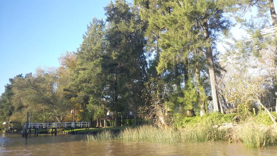 Buenos Aires: Ticket - Classic Delta of Tigre Boat Tour - Island life you can see: homes, schools, churches, and daily routines