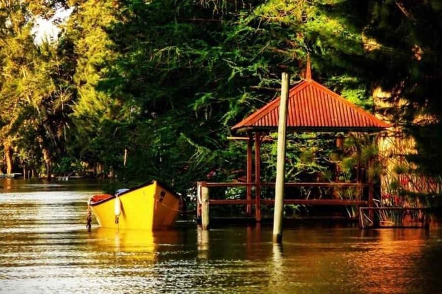 Buenos Aires: Tigre Delta Half-Day Tour with Navigation - A Half-Day That Actually Feels Like a Getaway