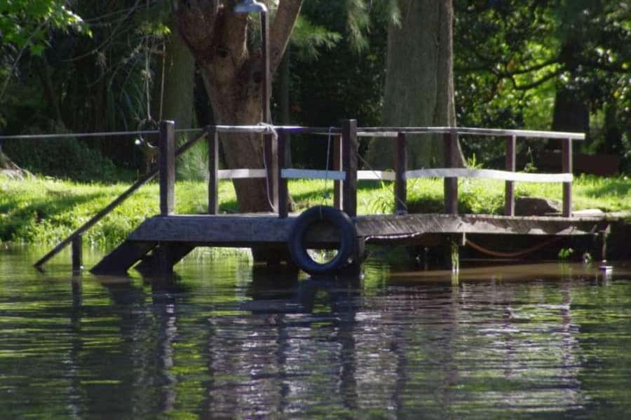 Buenos Aires: Tigre Delta Premium Boat Tour - Who should choose this Tigre Delta tour—and who should skip