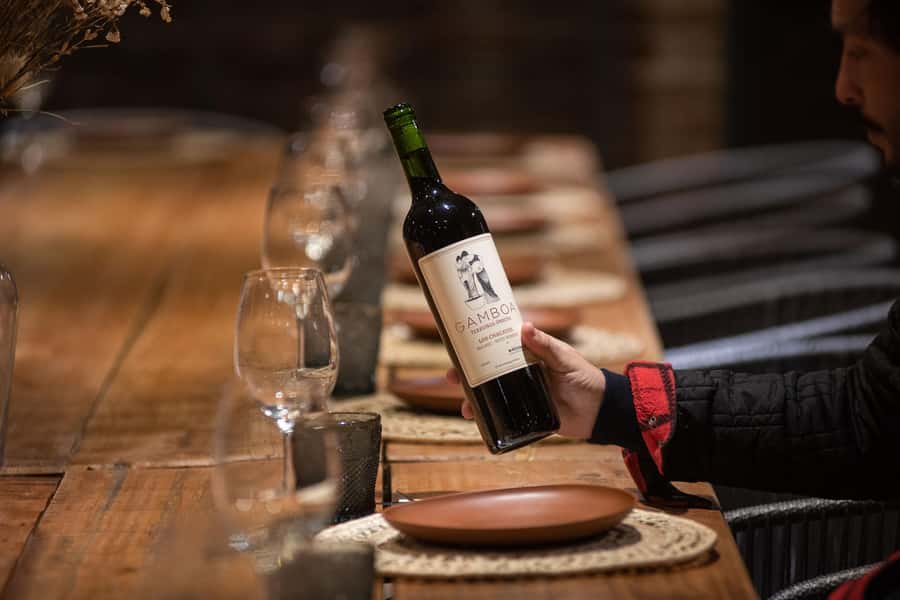 Buenos Aires: Wine Tasting and Lunch at Bodega Gamboa - Why This Campana Wine Day Beats a Mendoza Detour