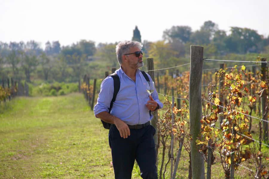 Buenos Aires: Wine Tasting and Lunch at Bodega Gamboa - Price and Value: Is $169 Really Justifiable?
