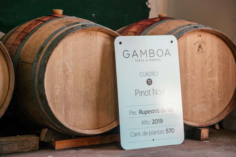Buenos Aires: Wine Tasting and Lunch at Bodega Gamboa - Before You Go: Packing Notes That Actually Matter