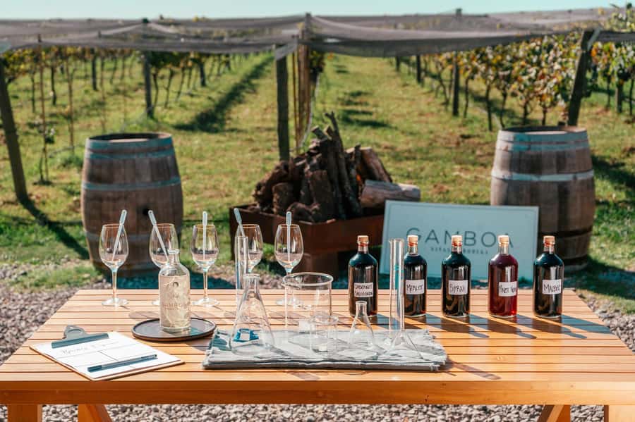 Buenos Aires: Wine Tasting & Lunch at Gamboa Vineyard - Why This Winery Day Works So Well from Buenos Aires
