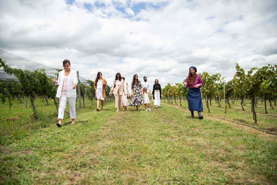 Buenos Aires: Wine Tasting & Lunch at Gamboa Vineyard - Practical Tips Before You Go
