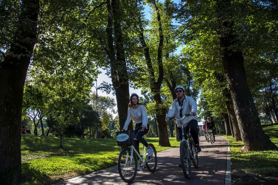 City Bike Tour in Palermo and Recoleta - Bosques de Palermo and the Rosedal: where the ride turns green