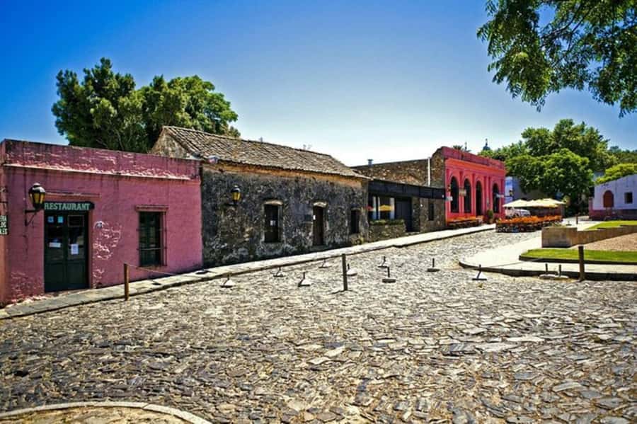 Colonia del Sacramento: Small-Group Day Trip - Lighthouse Views: The Climb That Changes Your Perspective