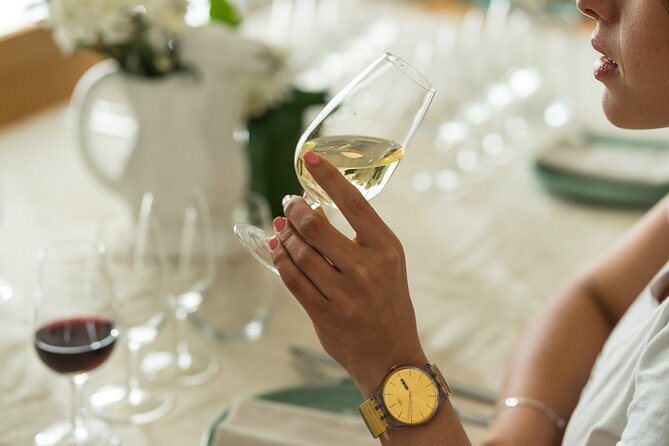 Discover Argentine Wines Paired with Delicious Tapas - The 4-Wine Journey: Arid North, Cool Patagonia, and Mendoza