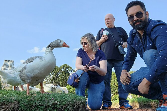 Discover Buenos Aires: Private Tour with Your Expert Local Guide - Pickup, schedule, and how to dress for this mix of driving and walking