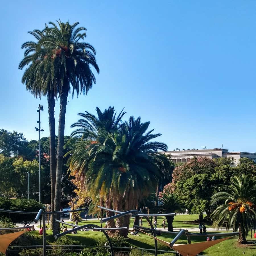 Discover Recoleta, Buenos Aires' Little Paris - Plaza Francia and Centro Cultural Recoleta: small spaces, strong mood