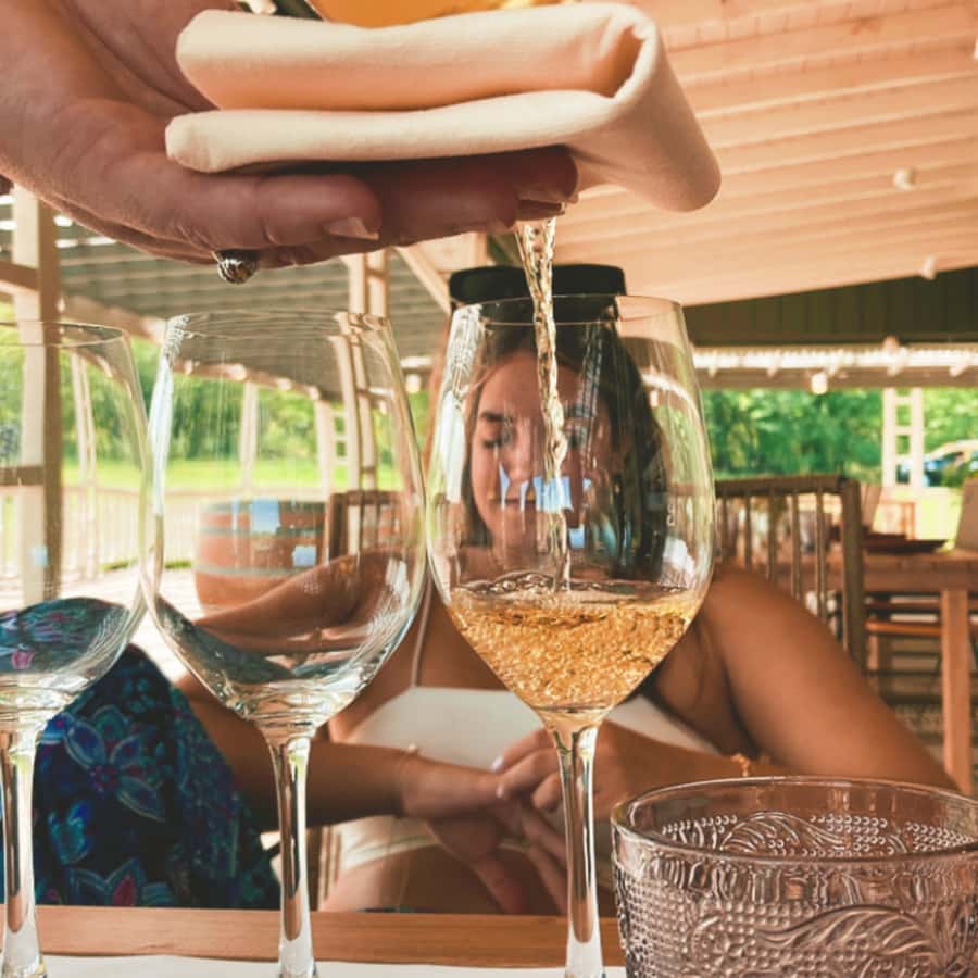 Enjoy a Rural Experience in a Vineyard near Buenos Aires - Helpful Booking Checklist Before You Go