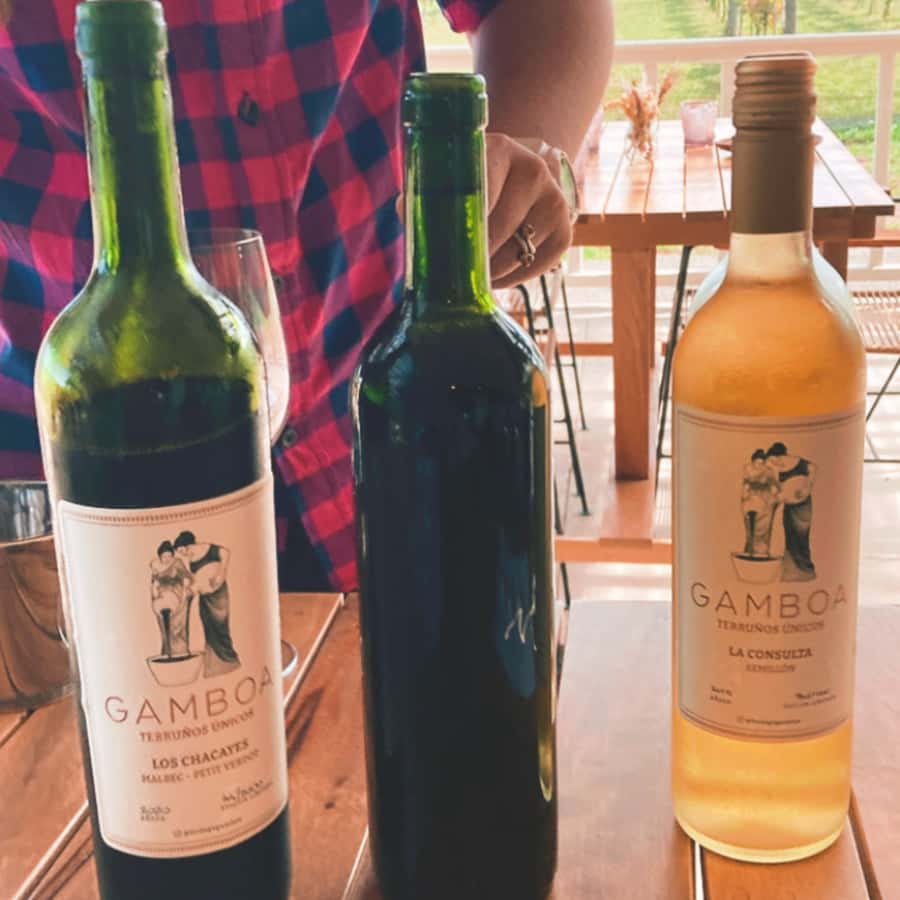 Enjoy a Rural Experience in a Vineyard near Buenos Aires - Getting Out of Buenos Aires and Into the Countryside