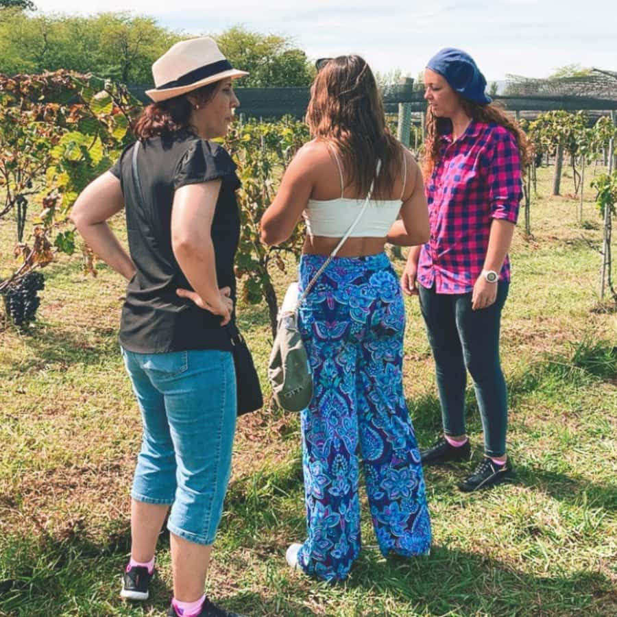 Enjoy a Rural Experience in a Vineyard near Buenos Aires - The Timing: How This Fits Into a Real Buenos Aires Day