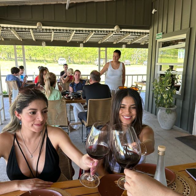 Enjoy a Rural Experience in a Vineyard near Buenos Aires - What You Learn (and Why It Matters)