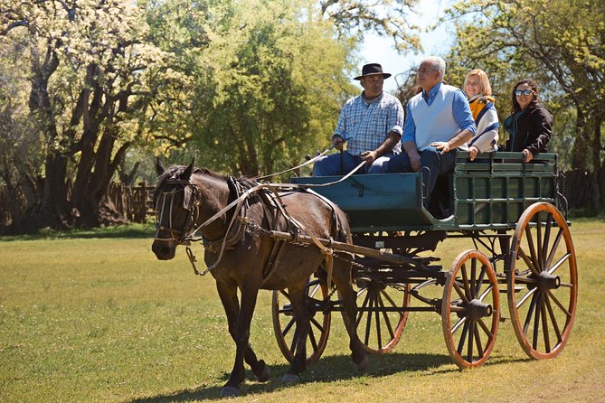 Estancia Gaucho Day at Buenos Aires - Horseback Riding and Horsemanship: Fun, but Keep It Realistic