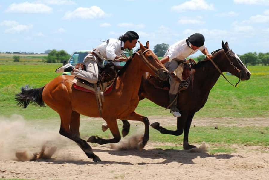 From Buenos Aires: Estancia Don Silvano Tour with Lunch. - A Pampas Break Right Beyond Buenos Aires Province