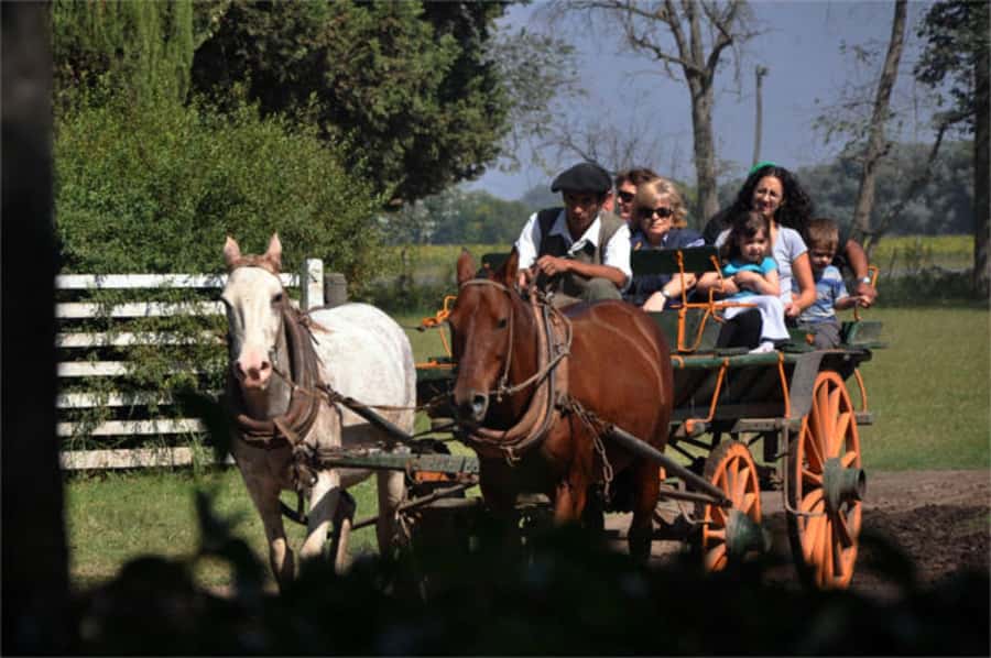 From Buenos Aires: Estancia Don Silvano Tour with Lunch. - Why Estancia Don Silvano Feels Different: Italian, Irish, and a Victorian Casco