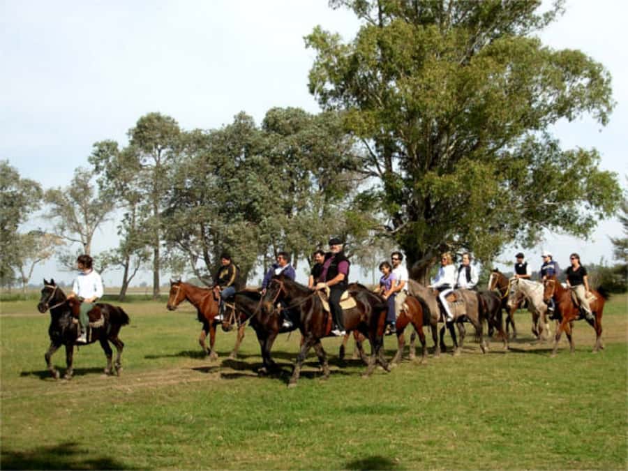 From Buenos Aires: Estancia Don Silvano Tour with Lunch. - Arrival Rituals: Empanadas and a Ranch Welcome