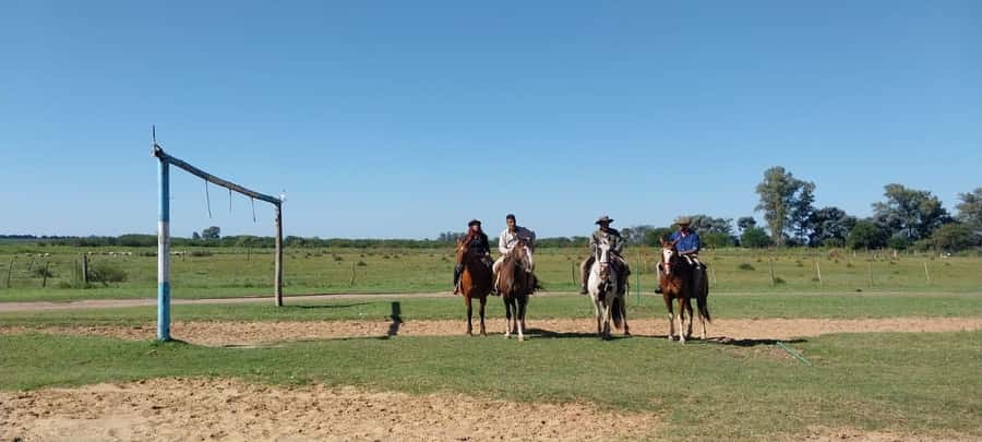 From Buenos Aires: Estancia Don Silvano Tour with Lunch. - The Estancia Visit: Casco, History, and What You Should Expect