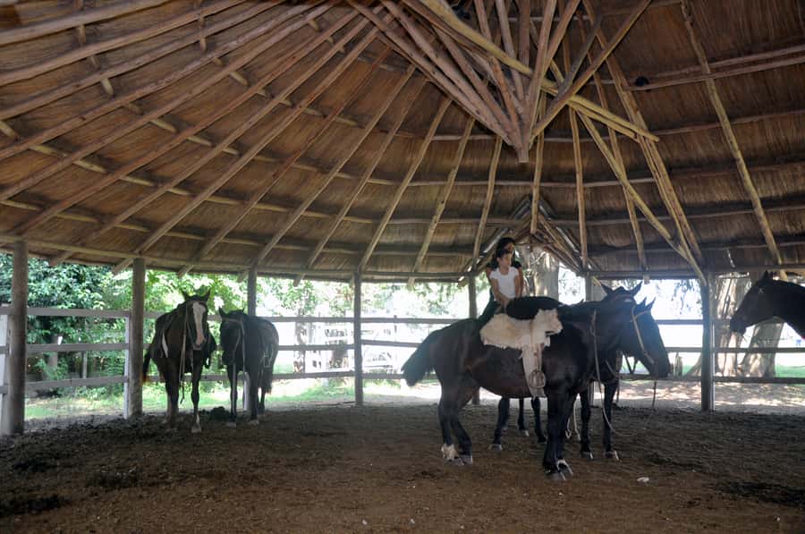 From Buenos Aires: Estancia Don Silvano Tour with Lunch. - The Real Value of $165: Nice Meal, Good Culture, Watch Expectations