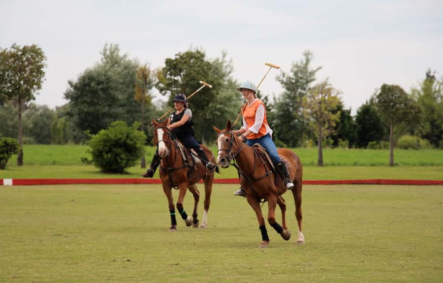 From Buenos Aires: Polo Match, Lesson, and BBQ Day-Trip - Key reasons this polo day trip works