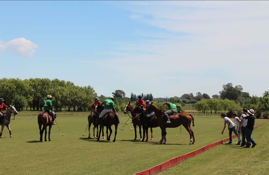 From Buenos Aires: Polo Match, Lesson, and BBQ Day-Trip - Getting oriented fast: host explanations, polo context, and the rules that matter