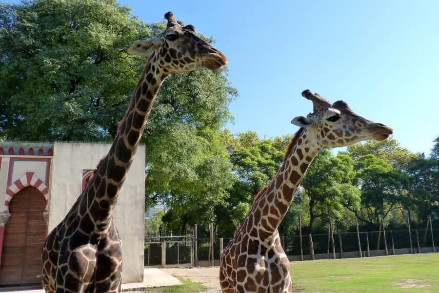 From Buenos Aires: Temaiken Zoo Tour with Ticket Included - Life in the Water: Argentina’s sea, freshwater, and the aquarium storyline