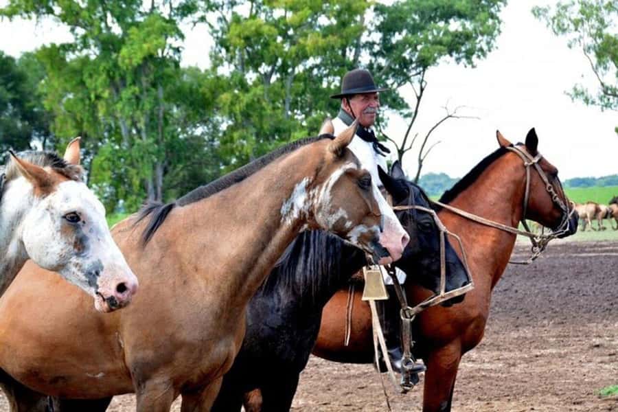Full-Day at Santa Susana Ranch with BBQ, Drinks and Show - Afternoon mate and pastries: why the ending matters