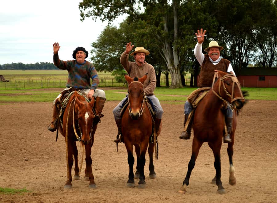 Full-Day at Santa Susana Ranch with BBQ, Drinks and Show - Arrival at Santa Susana: empanadas, wine, and a real welcome